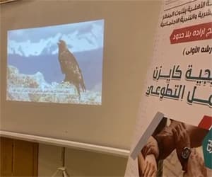 إرادة بلا حدود